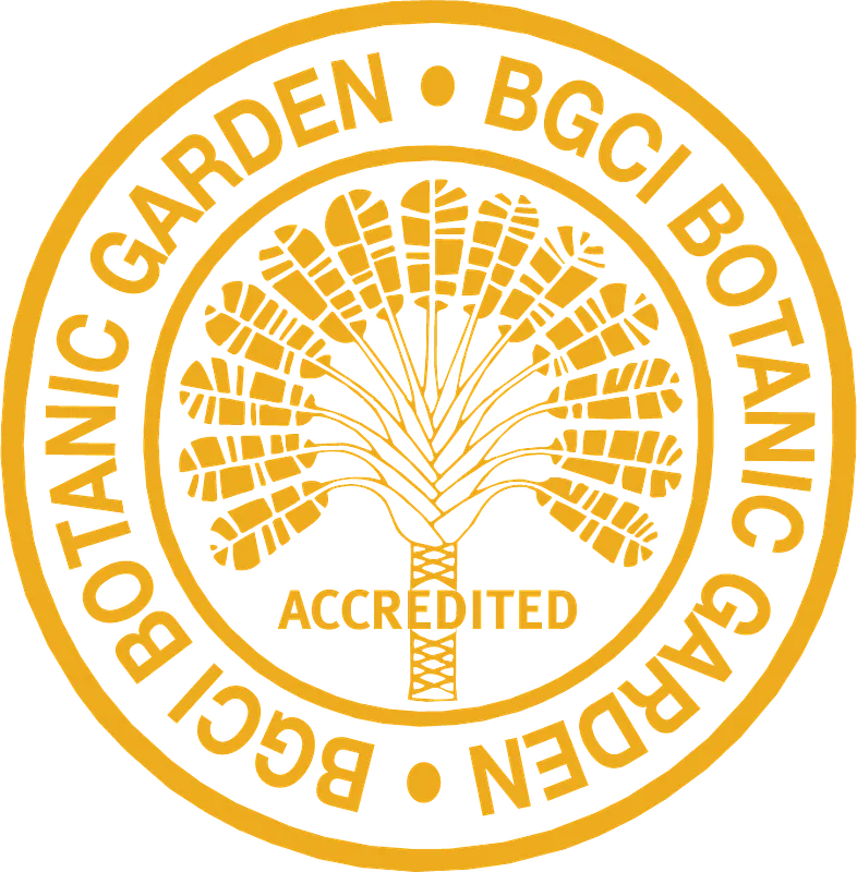 Birding for Beginners Workshop