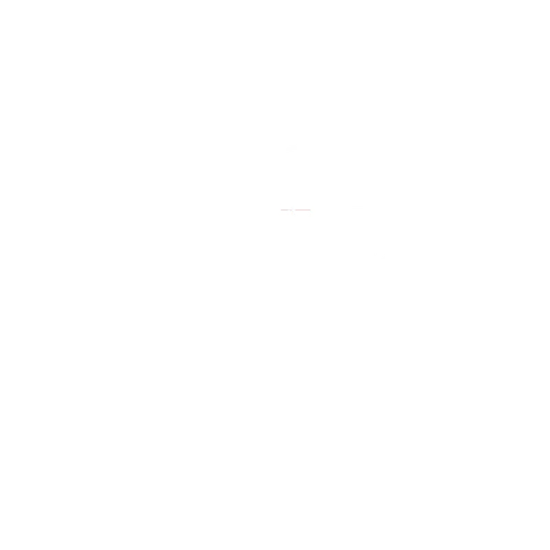 Solstice Fitness Club logo
