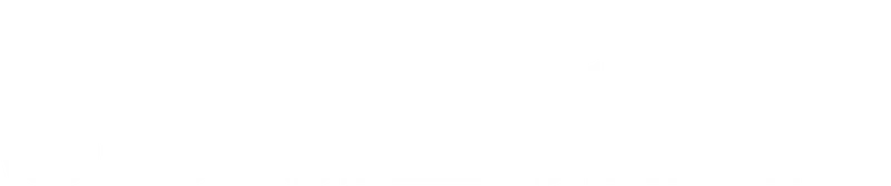 sodium fit logo