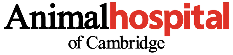 Animal Hospital Of Cambridge logo