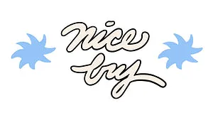 Nice Try Vintage logo