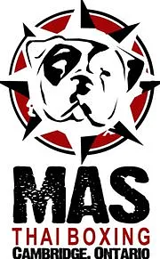 Mas Academy of Martial Arts logo
