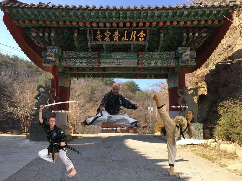 Advanced Black Belt Training