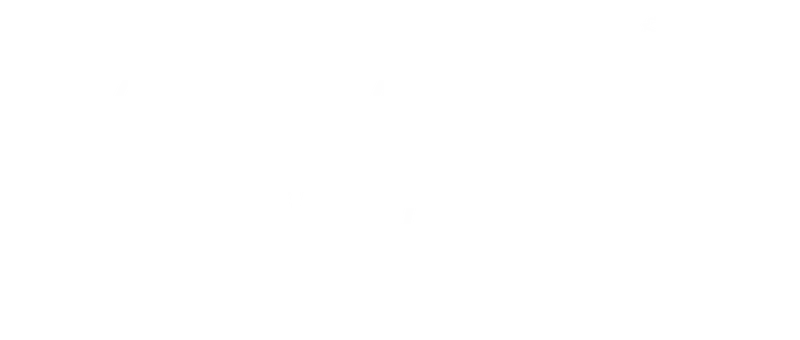 Wildflower Children's Play Place logo